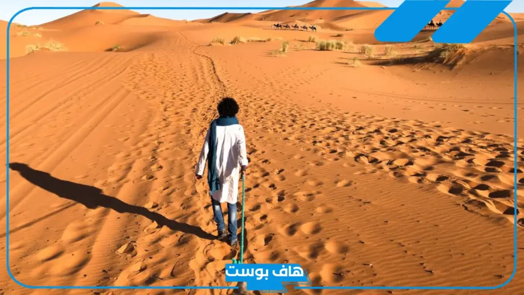 تفسير رؤية التوهان في المنام في بلد غريب للعزباء لابن سيرين