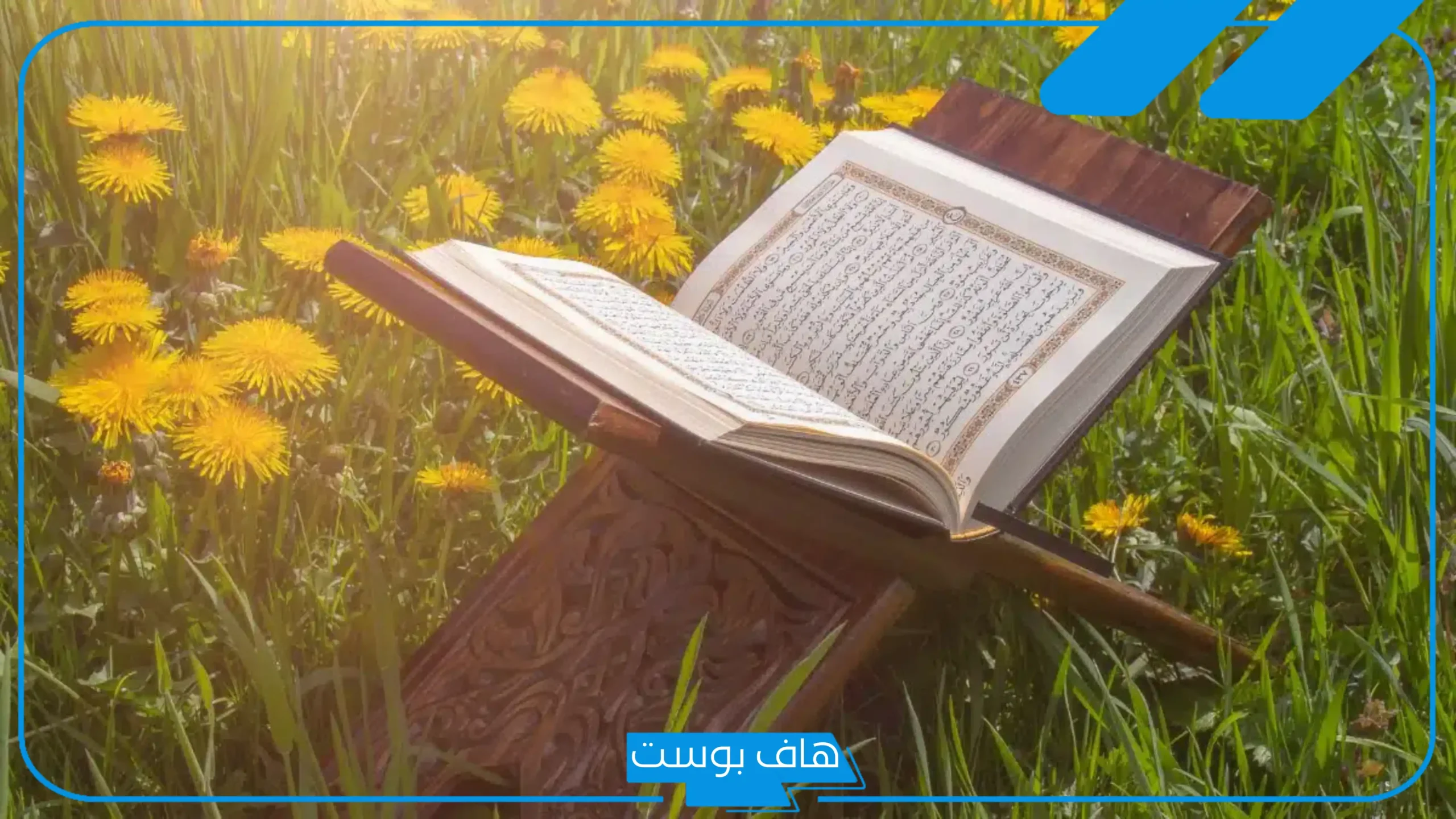 تفسير حلم دخول الجنة مع شخص ميت أو طفل في المنام لابن سيرين