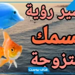 تفسير السمك في الحلم خارج الماء في المنام للمتزوجة والعزباء عند ابن سيرين