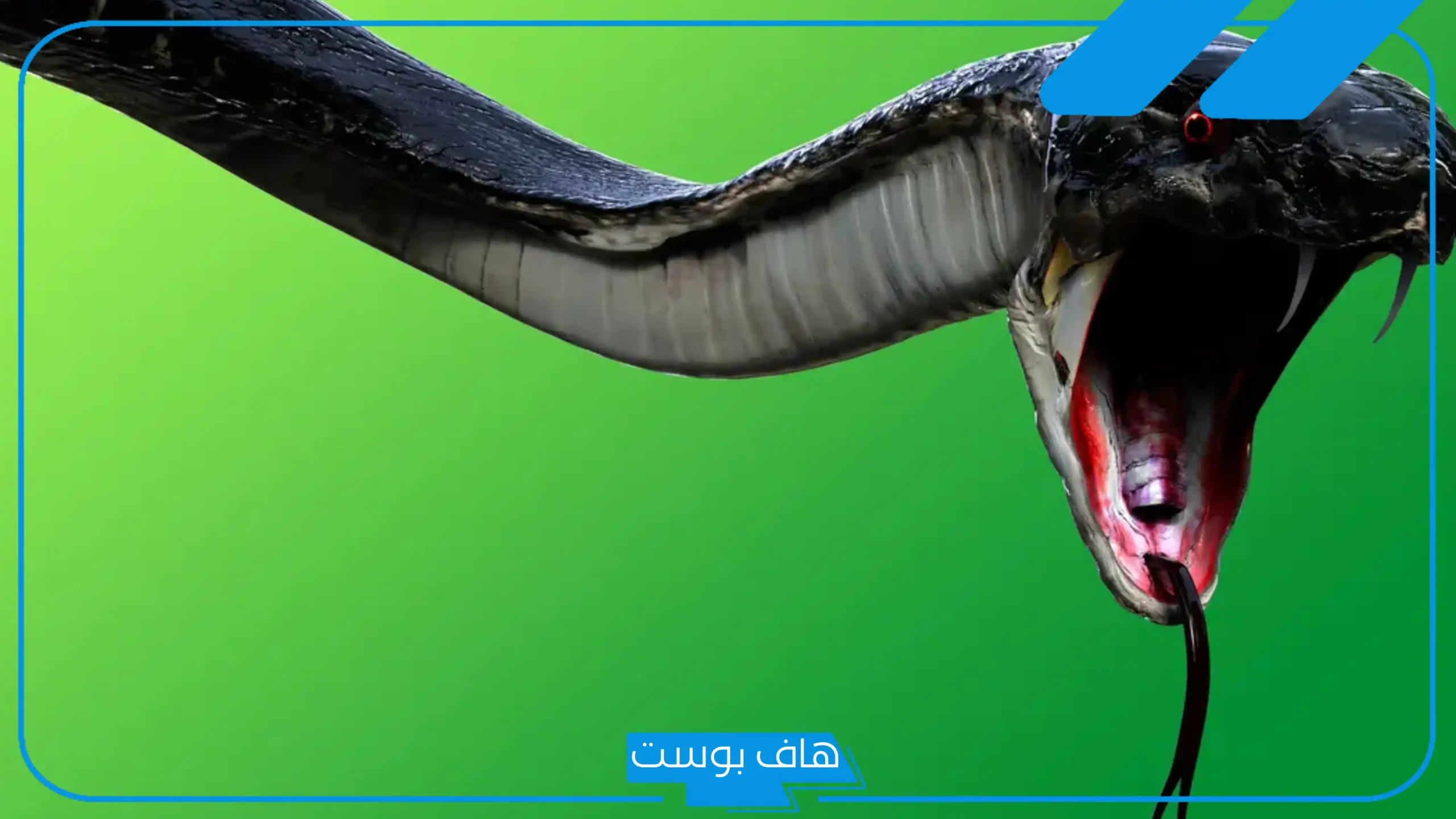 تفسير حلم مسك الثعبان باليد من رأسه وقتله في المنام للرجل والمرأة لابن سيرين