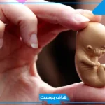 تفسير حلمت اني اجهضت وانا حامل في المنام لابن سيرين