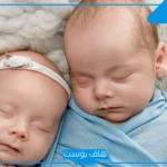 تفسير حلم ولادة توأم ولد وبنت للعزباء بدون ألم في المنام لابن سيرين
