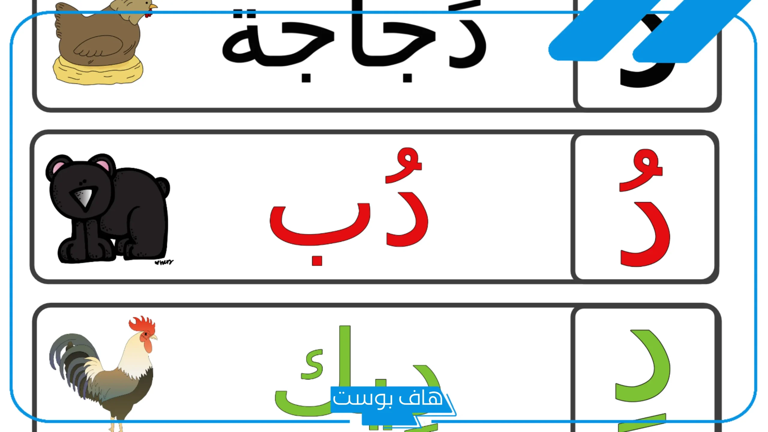 كلمات تبدا بحرف د للأطفال.. أسماء نبات جماد بلاد