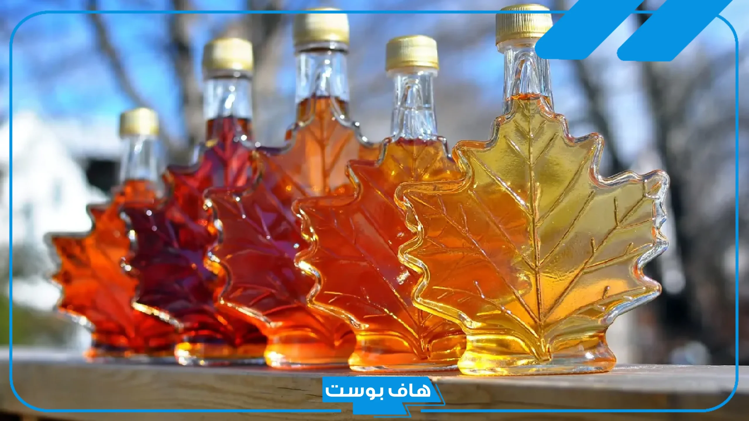 هل شراب القيقب حلال؟ فوائد شراب القيقب للقولون