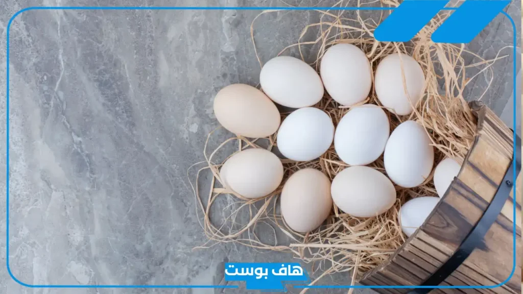 تفسير حلم البيض في المنام للمتزوجة والرجل والعزباء لابن سيرين