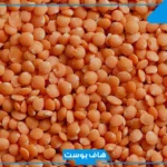 تفسير رؤية العدس في المنام للحامل والمتزوجة والعزباء لابن سيرين