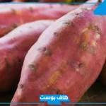 تفسير رؤيه البطاطا الحلوه في المنام للحامل ونوع الجنين لابن سيرين