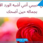 أجمل كلمات عن الورد الأحمر والأبيض رومانسية تويتر.. عبارات جميلة عن الورد بالإنجليزي