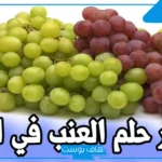 تفسير حلم العنب في المنام الأخضر للرجل والمطلقة والعزباء لابن سيرين