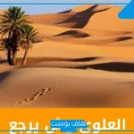 العلوي وش يرجع أصله؟ فروع قبيلة العلوي وديرتها وين