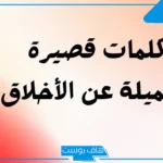 عبارات عن حسن الخلق والفضيلة.. اجمل ما قيل في حسن الخلق