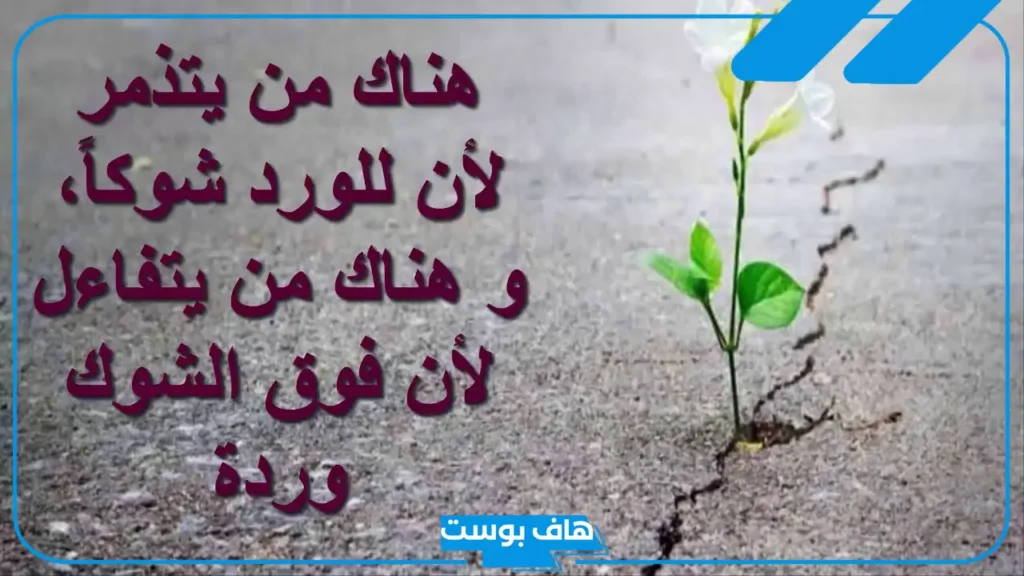 عبارات عن الامل والتفاؤل تويتر.. كلمات عن الثقة بالله والأمل