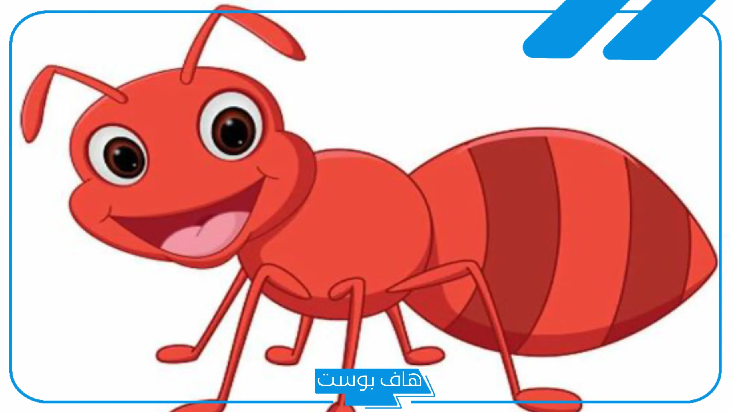 في نمله ماتت ليلة عرسها ليه؟ نكت مضحكة عن النمل