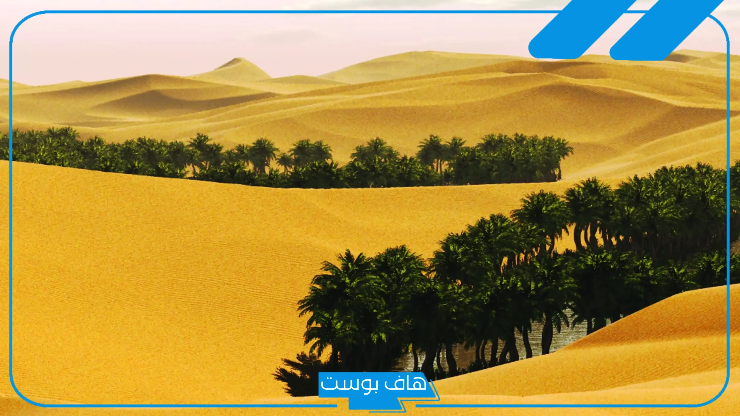 اليوبي وش يرجع؟ اليوبي من أي قبيلة في السعودية وأين ديرتهم؟