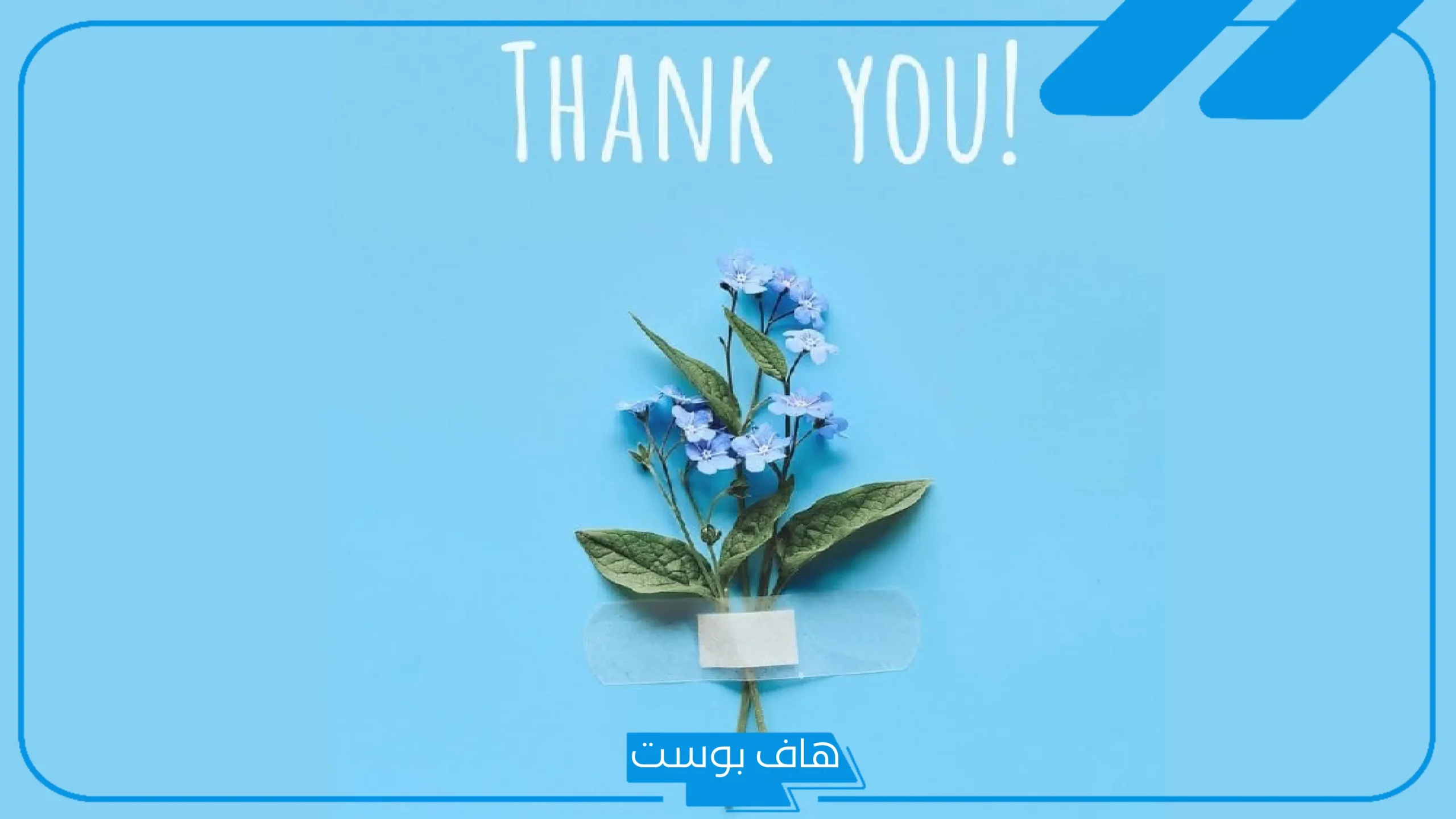 كل الشكر والتقدير على جهودك المبذولة تويتر.. عبارات شكر رسمية