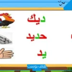 كلمات تبدا بحرف د للأطفال.. أسماء نبات جماد بلاد