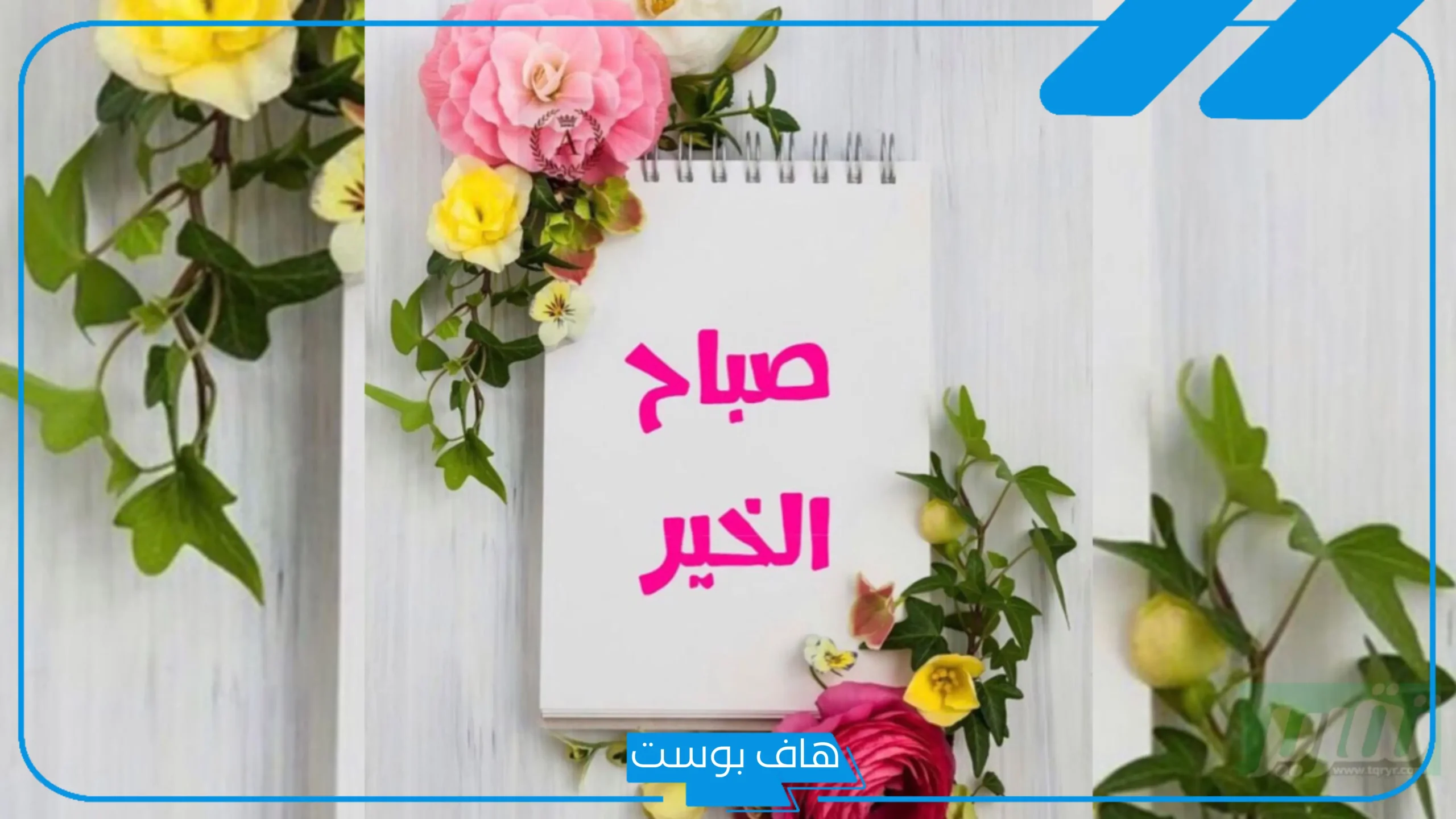 اجمل كلمات صباحيه رقيقة تويتر.. كلمات صباحية رومانسية للحبيب