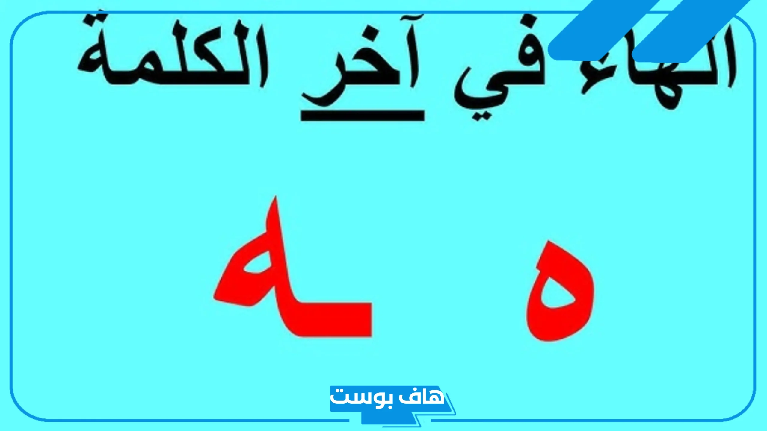 كلمات تنتهي بحرف الهاء للاطفال في قاموس اللغة العربية