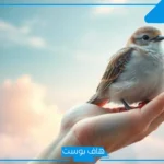 تفسير حلم العصفور في اليد للعزباء والمتزوجة والحامل لابن سيرين