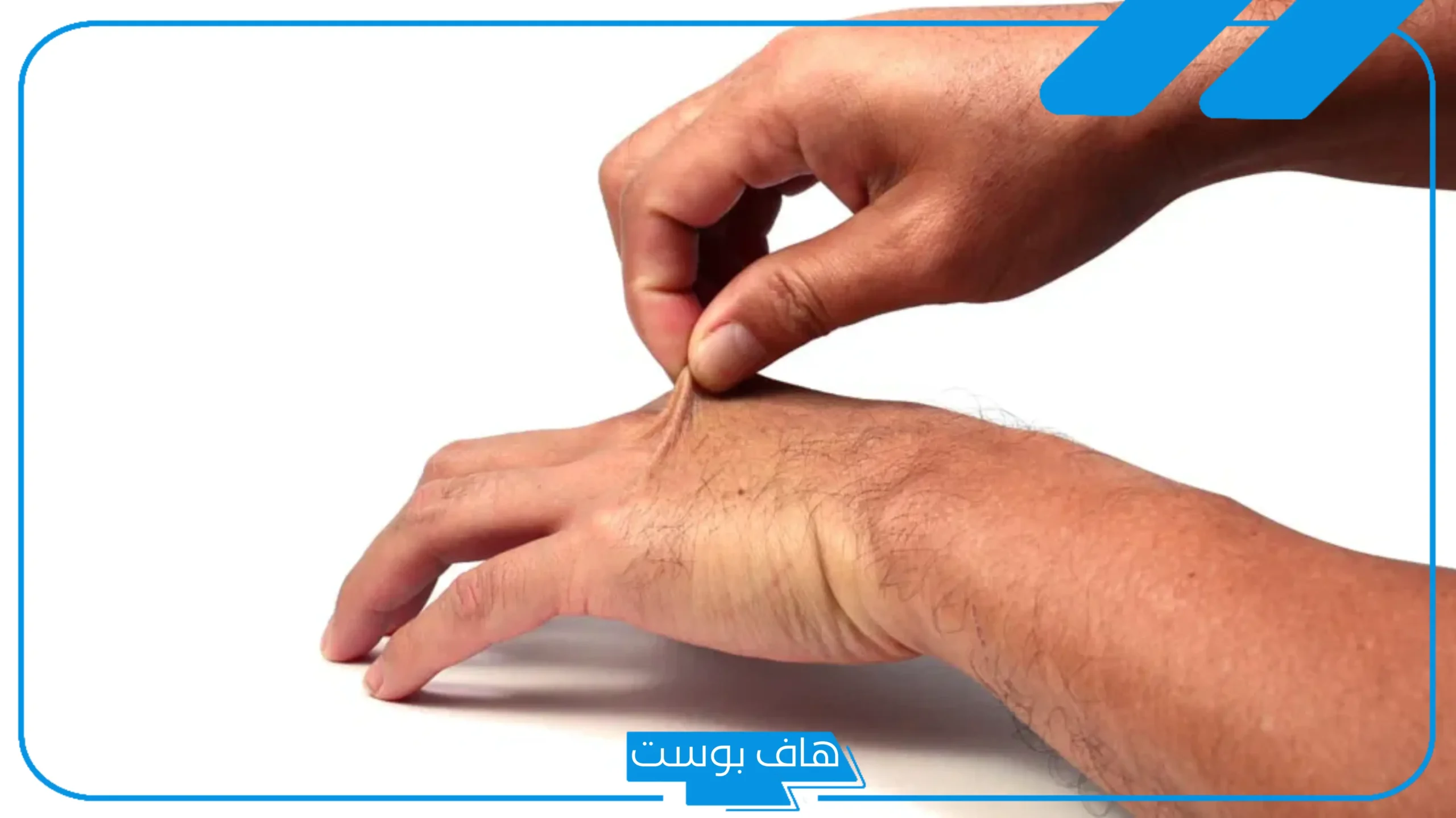 تفسير حلم القرص في المنام للرجل والمرأة في اليد اليسرى واليمنى لابن سيرين