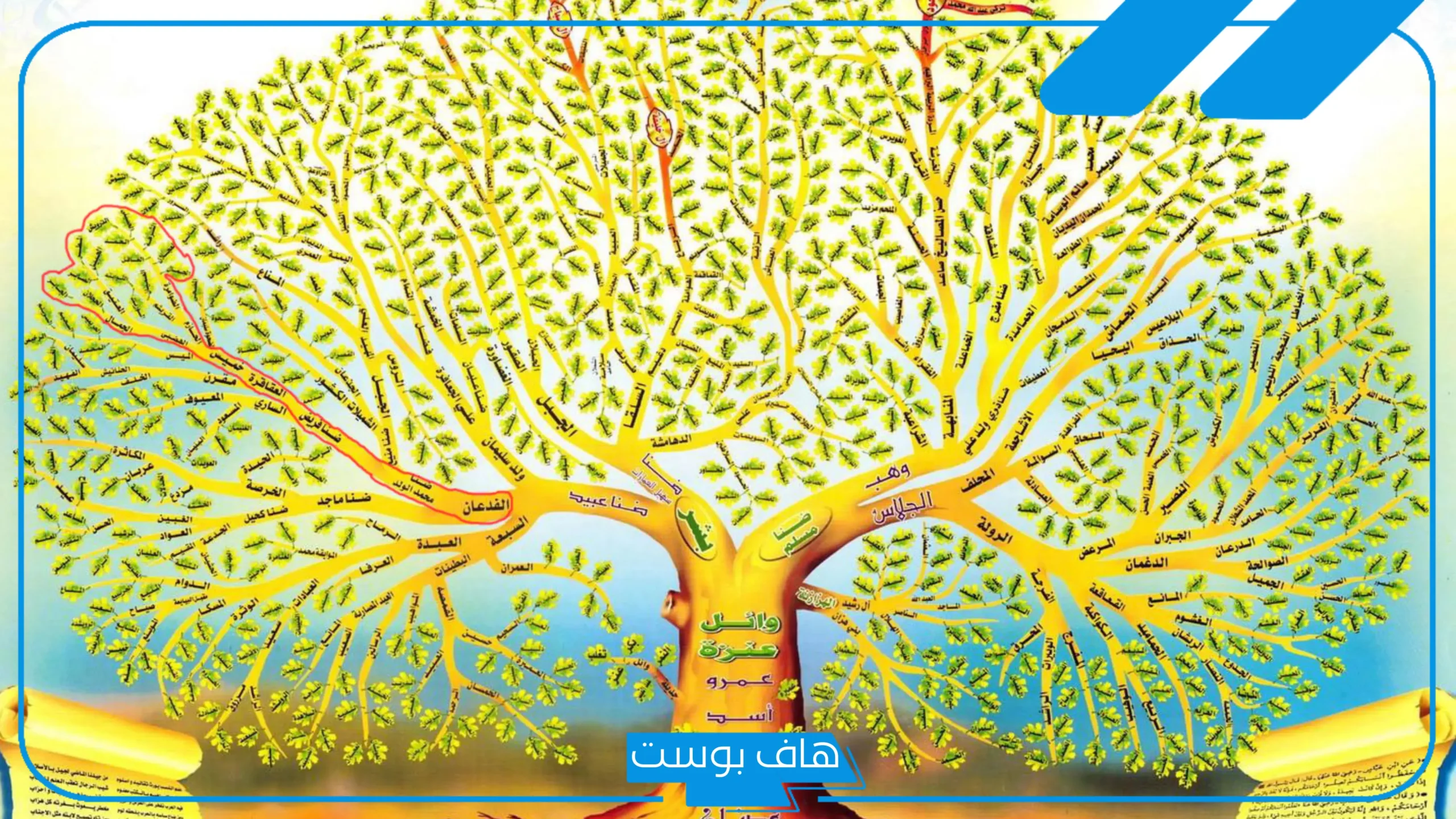 الحازمي وش يرجعون.. نسب قبيلة الحازمي، فروع الحازمي