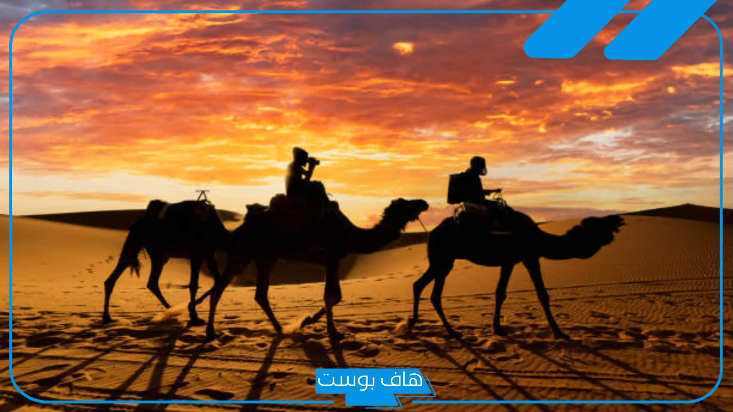 الذيابي وش يرجع.. أصل قبيلة الذيباني ونسبها وأماكنها