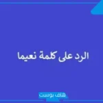 الرد على نعيما بعد الاستحمام.. كيف ترد على من يقول لك نعيمًا