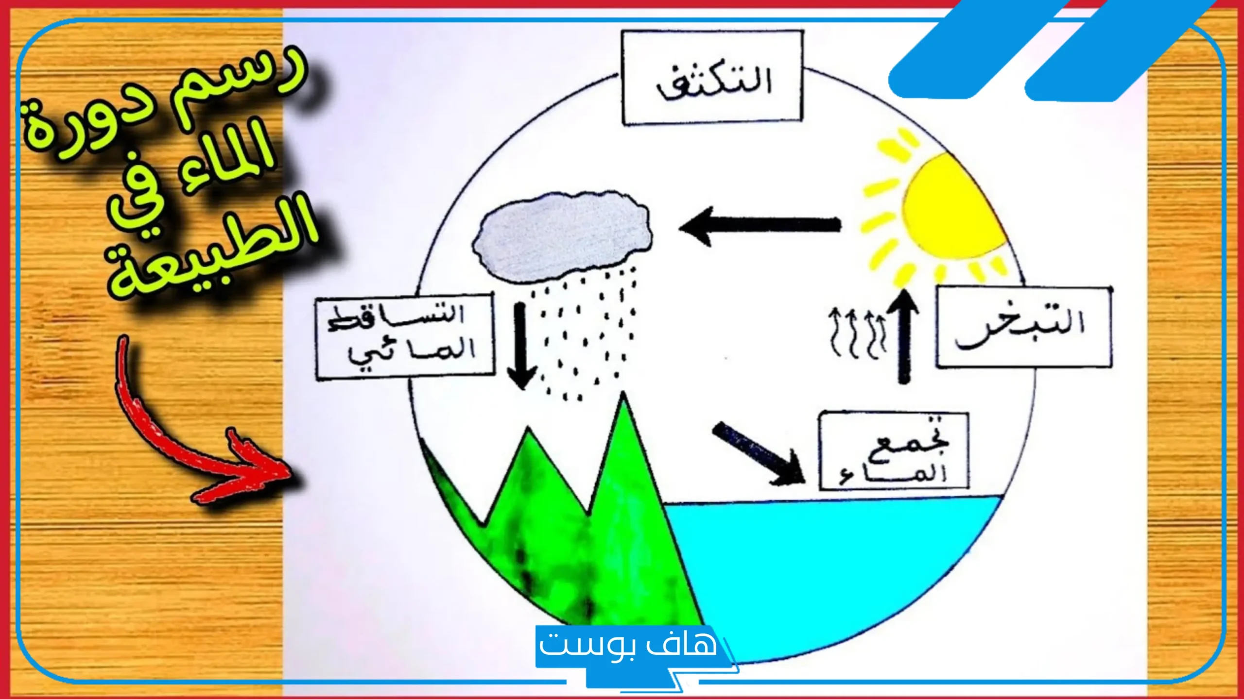 مطوية عن الطقس والمناخ وفصول السنة للمرحلة الابتدائية