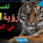 تفسير حلم نمر يلاحقني في المنام للرجل الأعزب والمرأة لابن سيرين