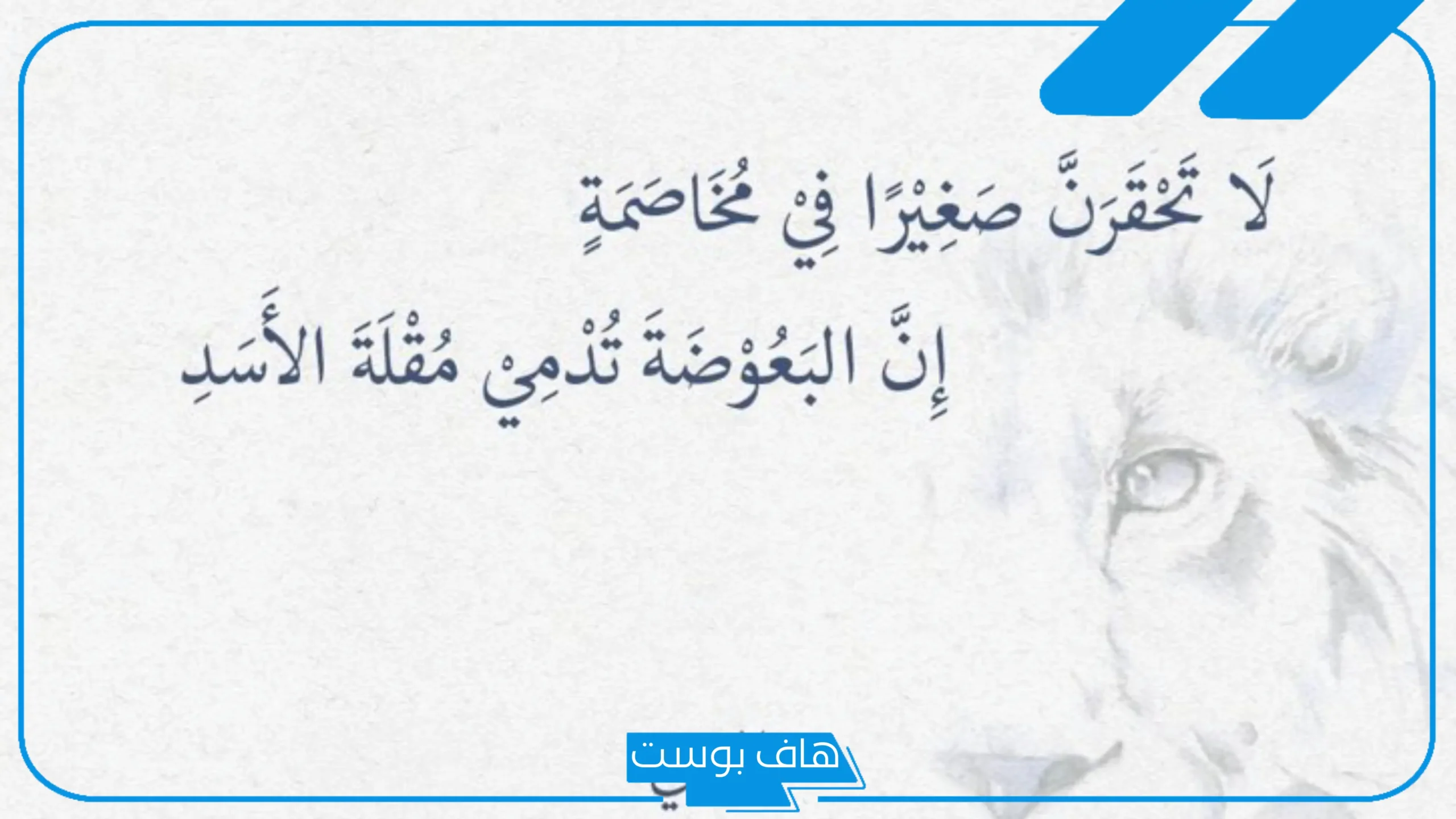 اجمل ما قال المتنبي عن الحياة والحب.. أقوال المتنبي