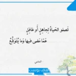اجمل ما قال المتنبي عن الحياة والحب.. أقوال المتنبي