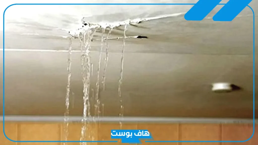 تفسير حلم نزول المطر من سقف البيت في المنام لابن سيرين للمطلقة والمتزوجة والعزباء