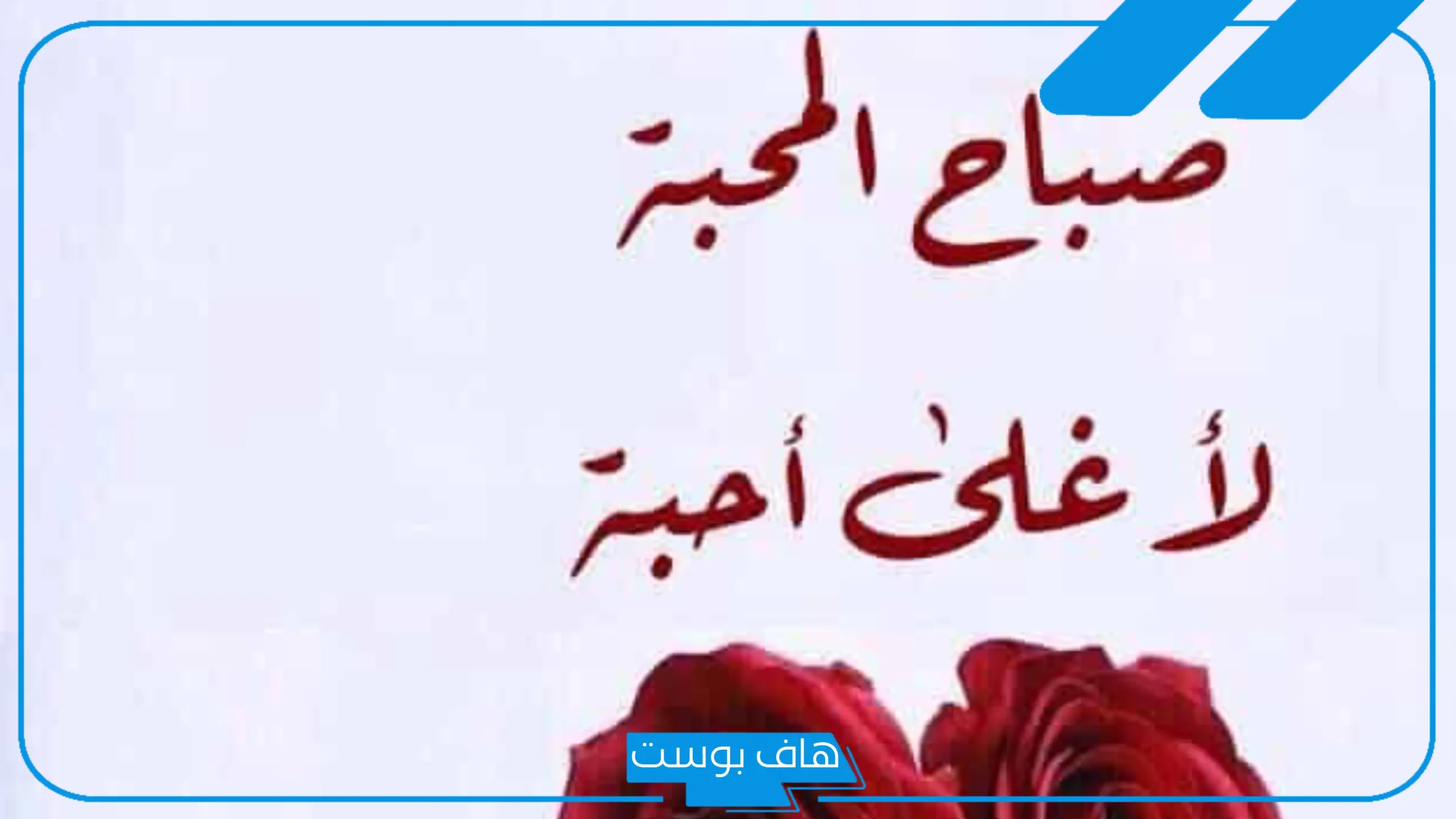 كلمات صباحية جميلة قصيرة مميزة للأحباب والأصدقاء.. عبارات صباحية قصيرة