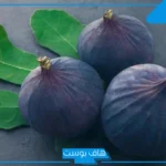 تفسير حلم اكل التين في المنام أخضر للمتزوجة والعزباء والحامل والرجل