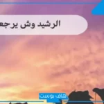 الرشيد وش يرجعون؟ ما هو أصل عائلة الرشيد؟