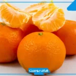 تفسير حلم البرتقال في المنام طازج للعزباء والمتزوجة للعالم ابن سيرين