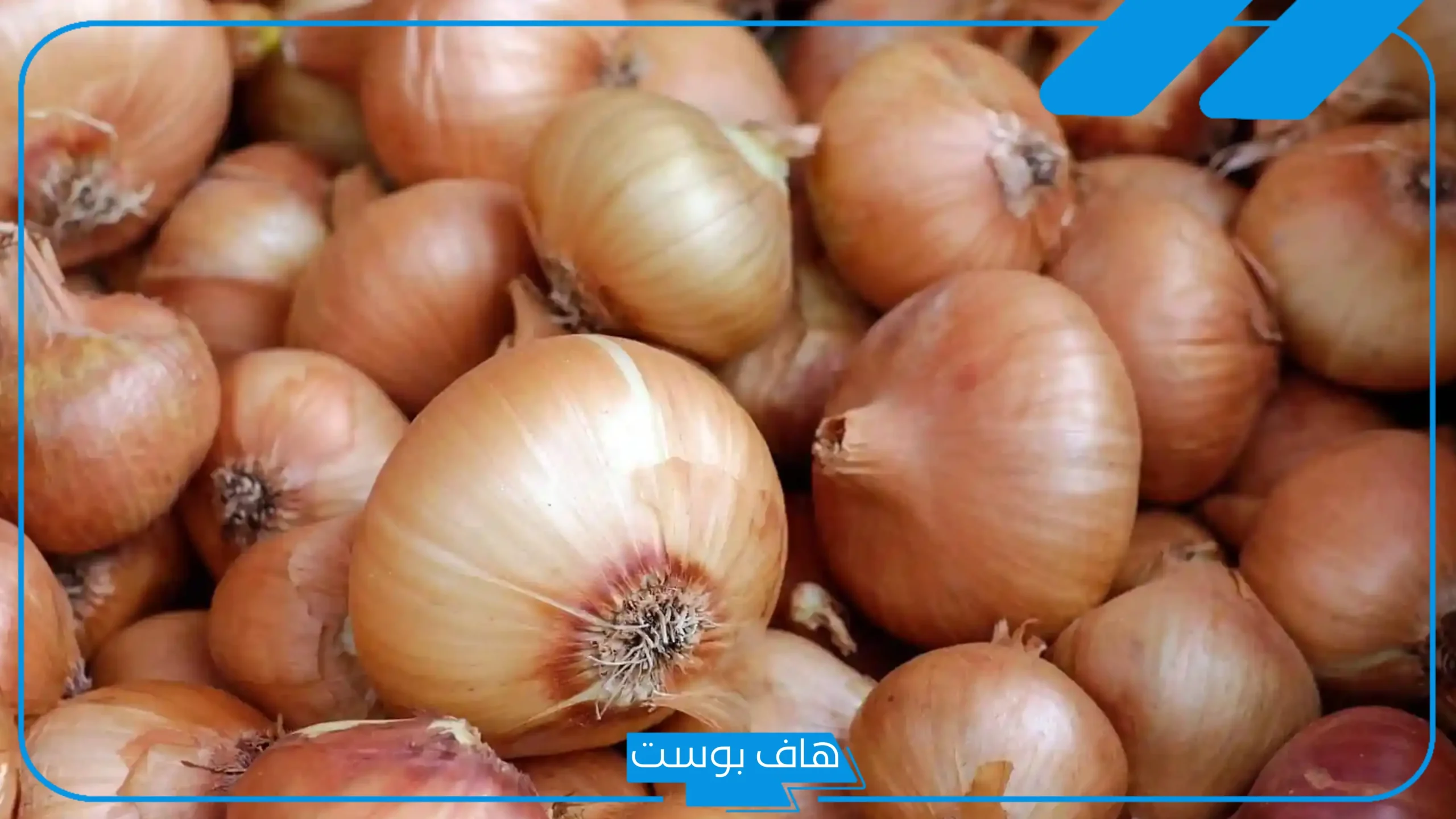 تفسير رؤية البصل في المنام أحمر وأبيض للمرأة لابن سيرين