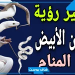 تفسير حلم الثعبان الأبيض للعزباء وقتله في المنام للعالم ابن سيرين