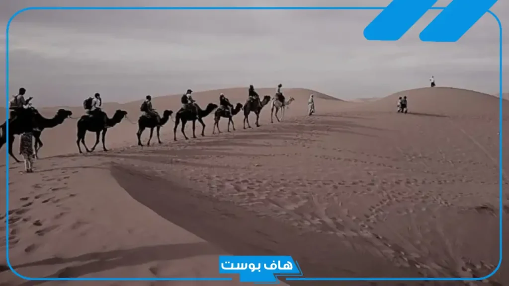 الذبياني وش يرجع النسب؟ فروع قبيلة الذيابي وديرتهم