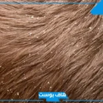 تفسير رؤية الصيبان في المنام للمطلقة والحامل والعزباء لابن سيرين