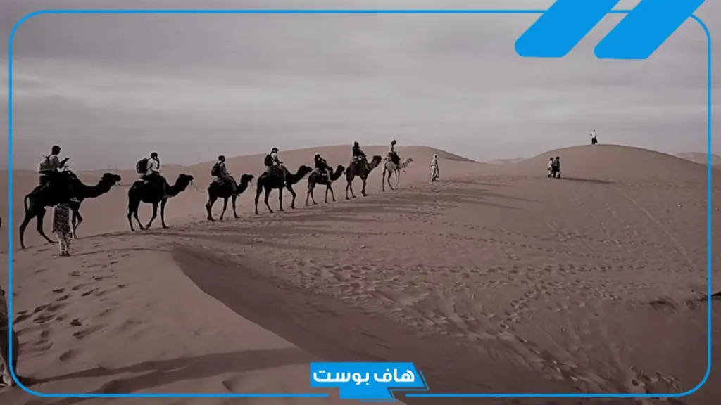 القريني وش يرجع أصله.. شخصيات مشهورة من قبيلة القريني