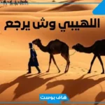 اللهيبي وش يرجع نسبه، فروع قبيلة اللهيبي وشجرة العائلة