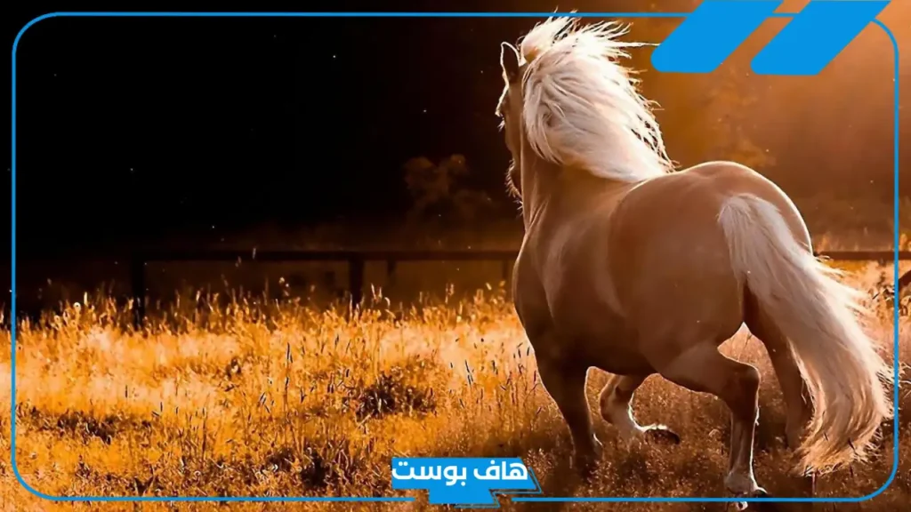 تفسير رؤية اللون البني في المنام للمطلقة والمتزوجة لابن سيرين