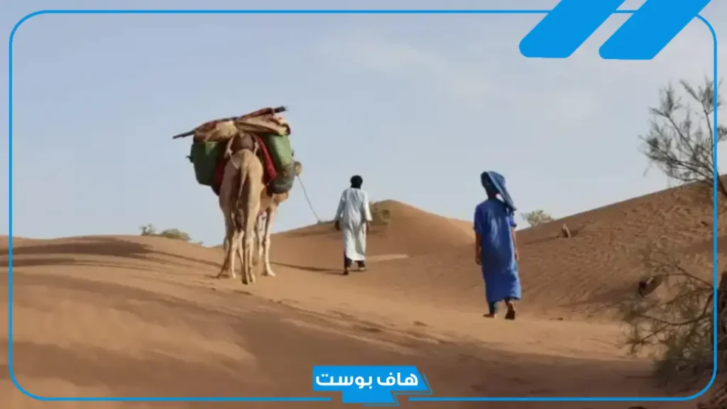 المورقي وش يرجعون نسبهم.. فروع وشخصيات مشهورة من قبيلة المورقي