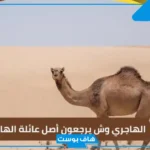 الهاجري وش يرجع، ديرة الهاجري وين.. ما هي فروع قبيلة الهاجري؟