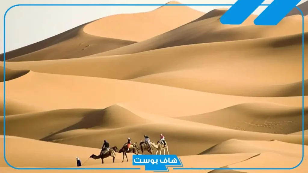 الوهيبي وش يرجعون النسب..  أصل الوهيبي من وين