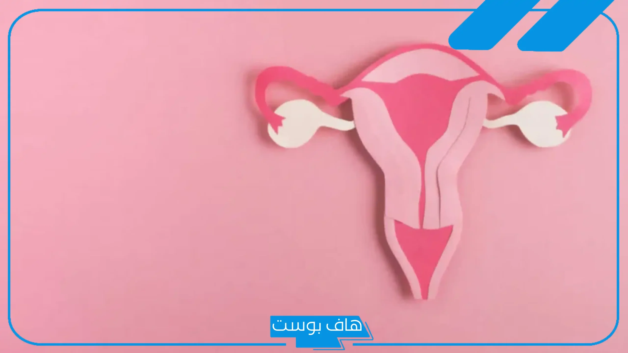 تفسير حلم خروج شي من الفرج للمطلقة والمتزوجة في المنام