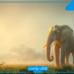 تفسير رؤية الفيل في المنام كبير يطاردني للعزباء لابن سيرين
