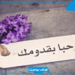 عبارات تهنئة بسلامة الوصول من السفر قصيرة.. عبارات للقادمين من السفر تويتر