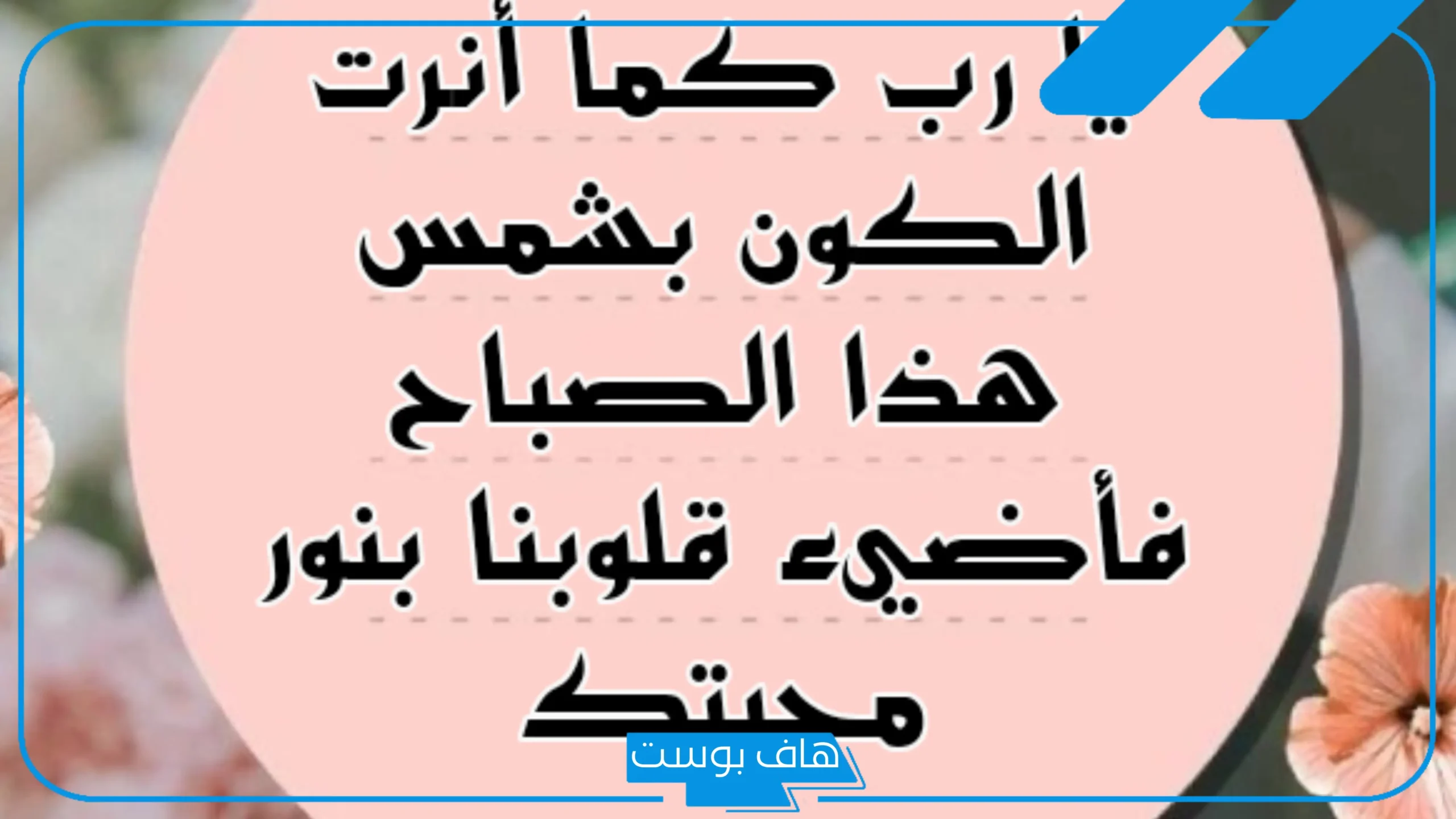 دعاء الصباح جميل للأهل والأحباب تويتر وفيس بوك.. صباح الخير مع دعاء للاحباب